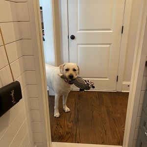 Meet your Posher, Jill